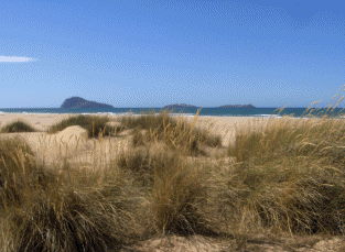 Les îles Zaffarines