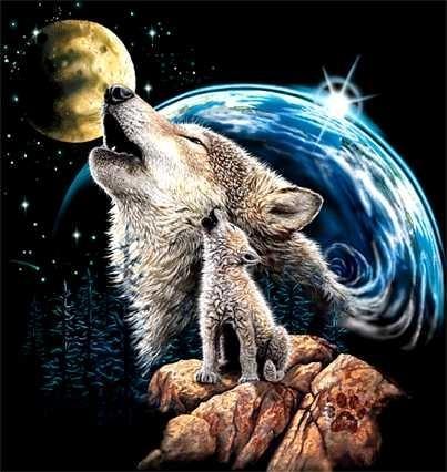 Sky Wolves