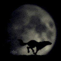 Moon Run