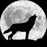 Moon Fantasy