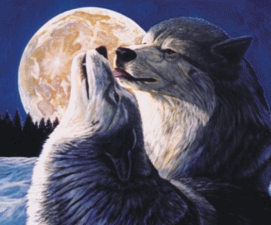 Moonlight Lovers