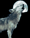 Les Prédictions Du Lobo