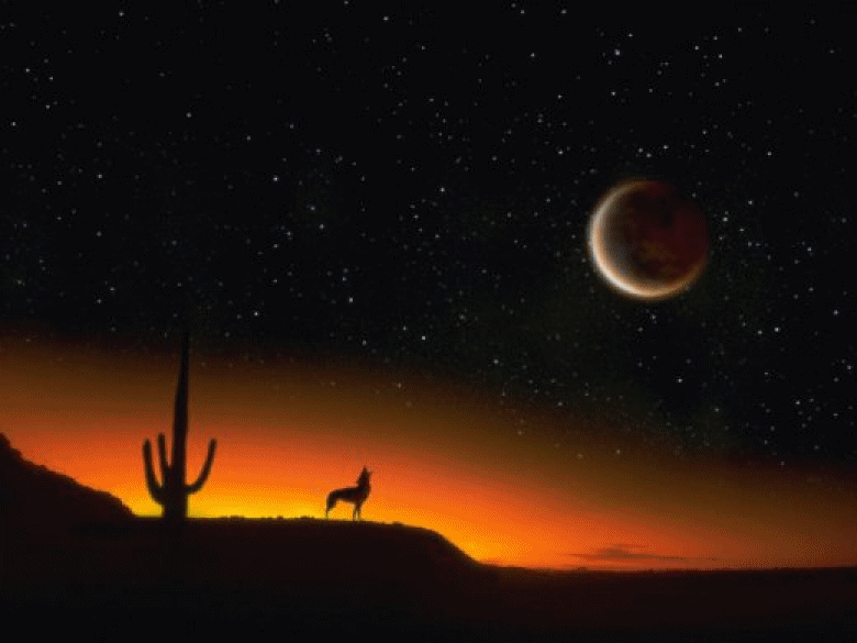Loups --  Wolves