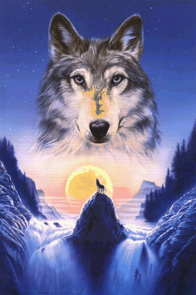 Sunshine Wolves