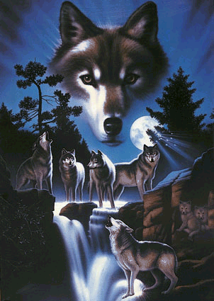Blue Night